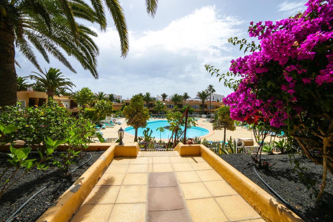 Apartment Apple Dunes With Pool Corralejo By Holidays Home Εξωτερικό φωτογραφία
